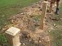 Taree-fence-b 028